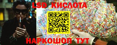 PSILOCYBIN Дубна