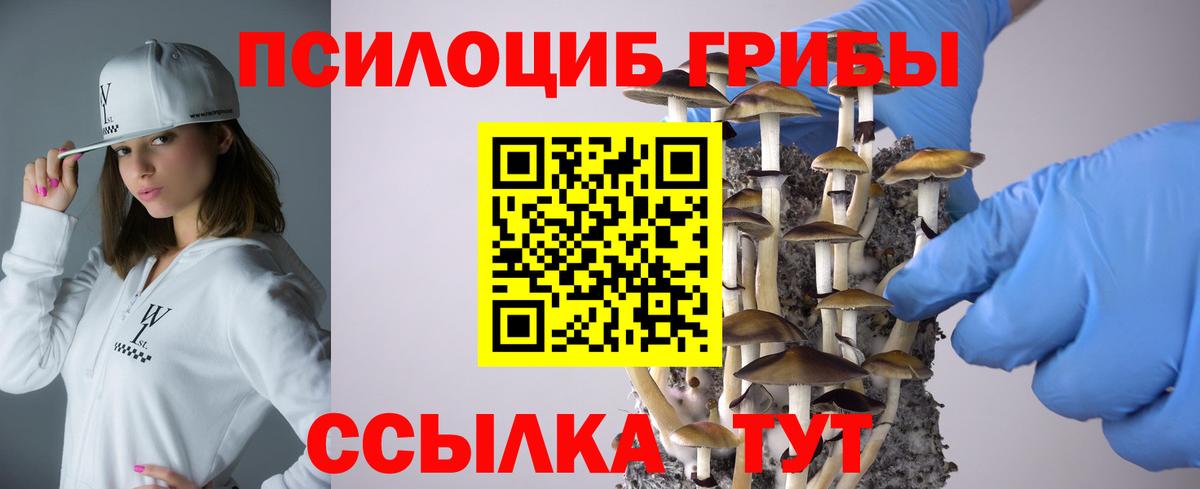 Галлюциногенные грибы Psilocybine cubensis  Вход с VPN  Псилоцибиновые грибы ЛСД  Горно-Алтайск 